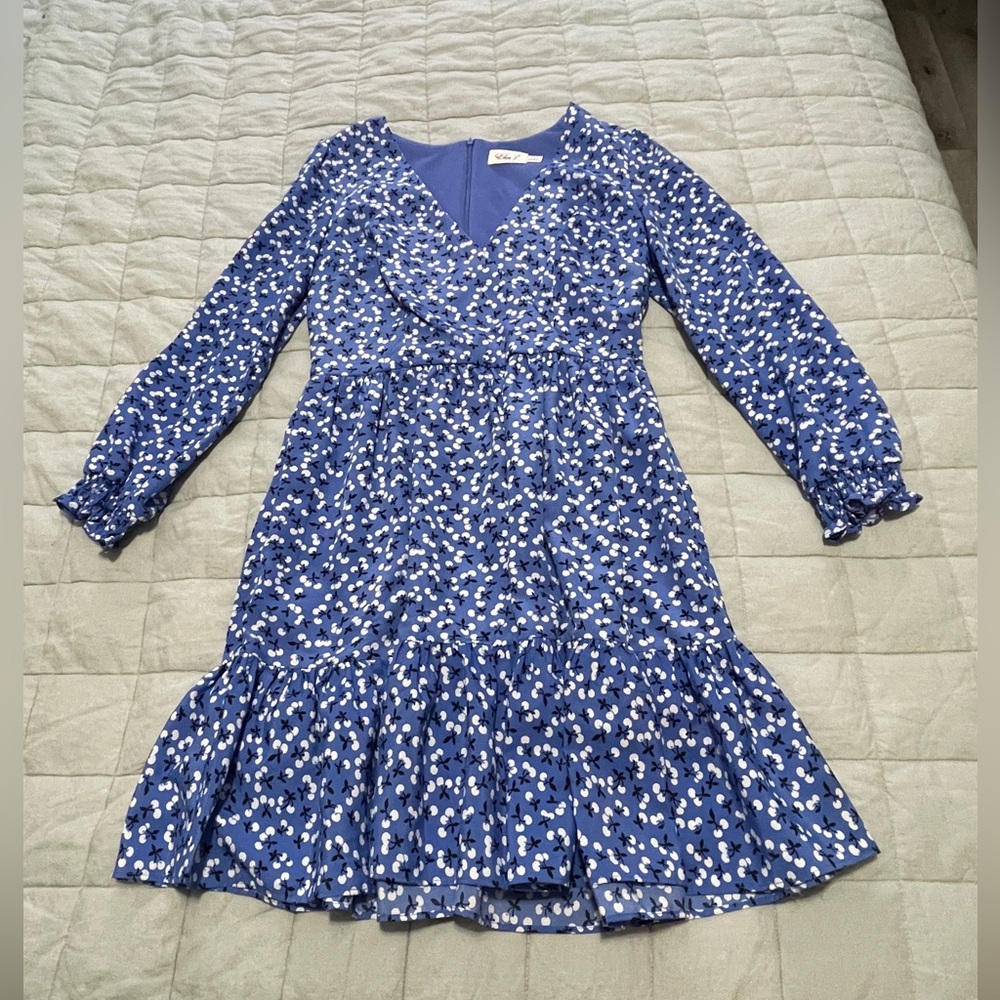 Long Sleeved Dress